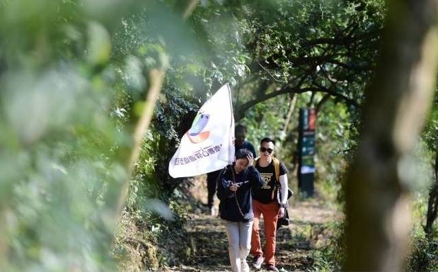 前不久，2022南粤古驿道徒步活动在广州从化举行。